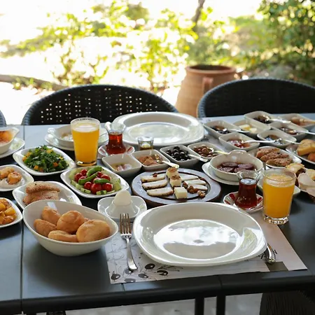 מלון Akkizhan Karaagac (Balikesir)