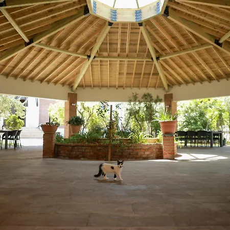 Akkizhan Karaagac (Balikesir)