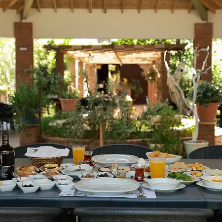 Akkizhan Karaagac (Balikesir)